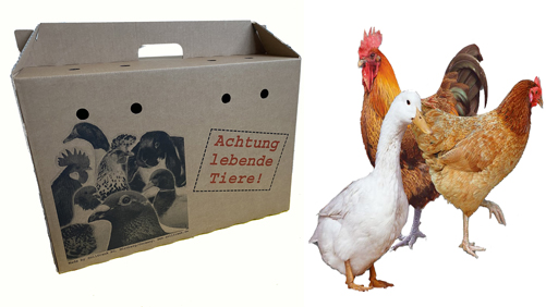 geflügeltransportkarton.jpg