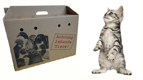 katzentransportkarton.jpg